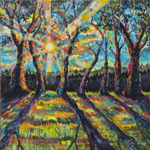 Where the Light Finds Us