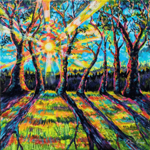 Where the Light Finds Us